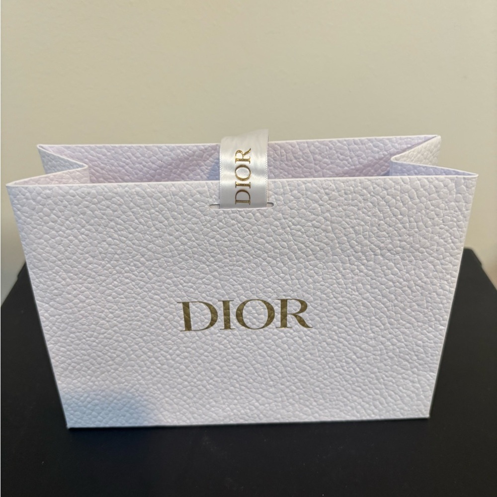 Small Dior bag